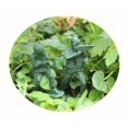 thumbnail image 3 of Soldats en Plastique x 100 (Couleur Kaki), 3 of 4