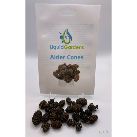 Liquid Gardens Alder Cones 25ct