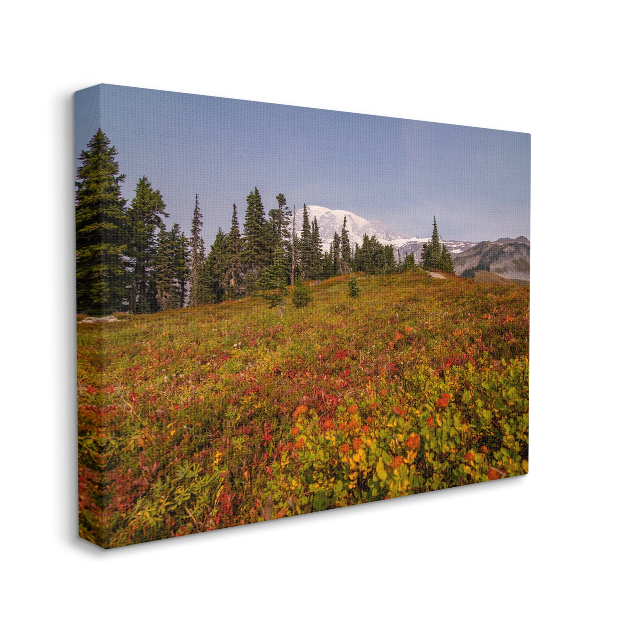 Stupell Industries Mountain Meadow Scenery Nature Photography Gallery Wrapped Canvas Print Wall Art, 30 x 24