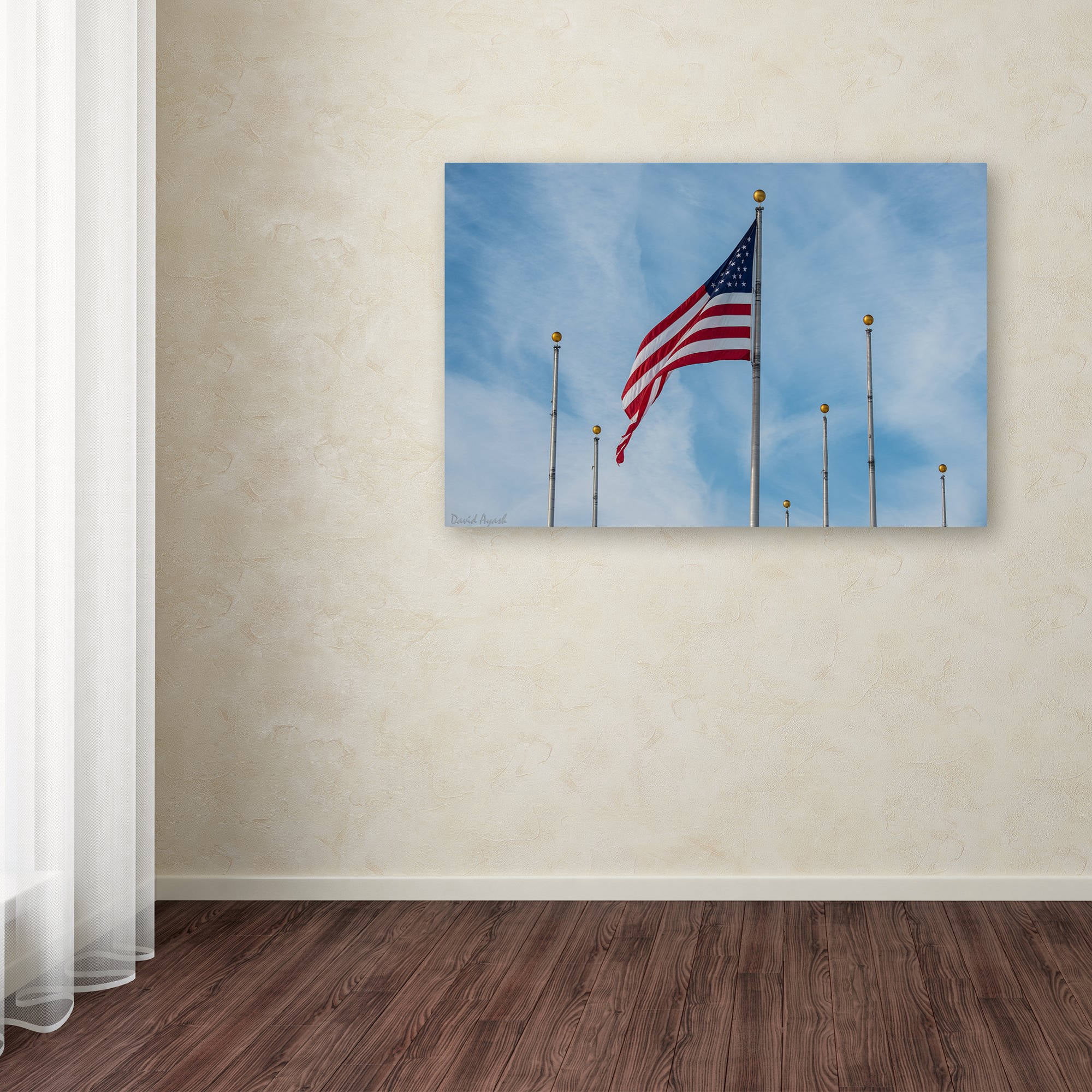 Trademark Fine Art "Red, White and Blue" Canvas Art by David Ayash