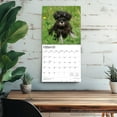 thumbnail image 5 of Schnauzer Puppies 2026 12x24" (Hanging) Wall Calendar | Plastic-Free | BrownTrout, 5 of 9