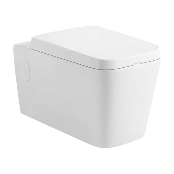 DAX Rectangular Toilet with Soft Closing Seat and High-Efficiency Dual Flush, White
