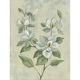 thumbnail image 2 of Great Art Now Sage Magnolia by Silvia Vassileva, Framed Wall Art, 19W x 24H, Flowers Art, 2 of 2