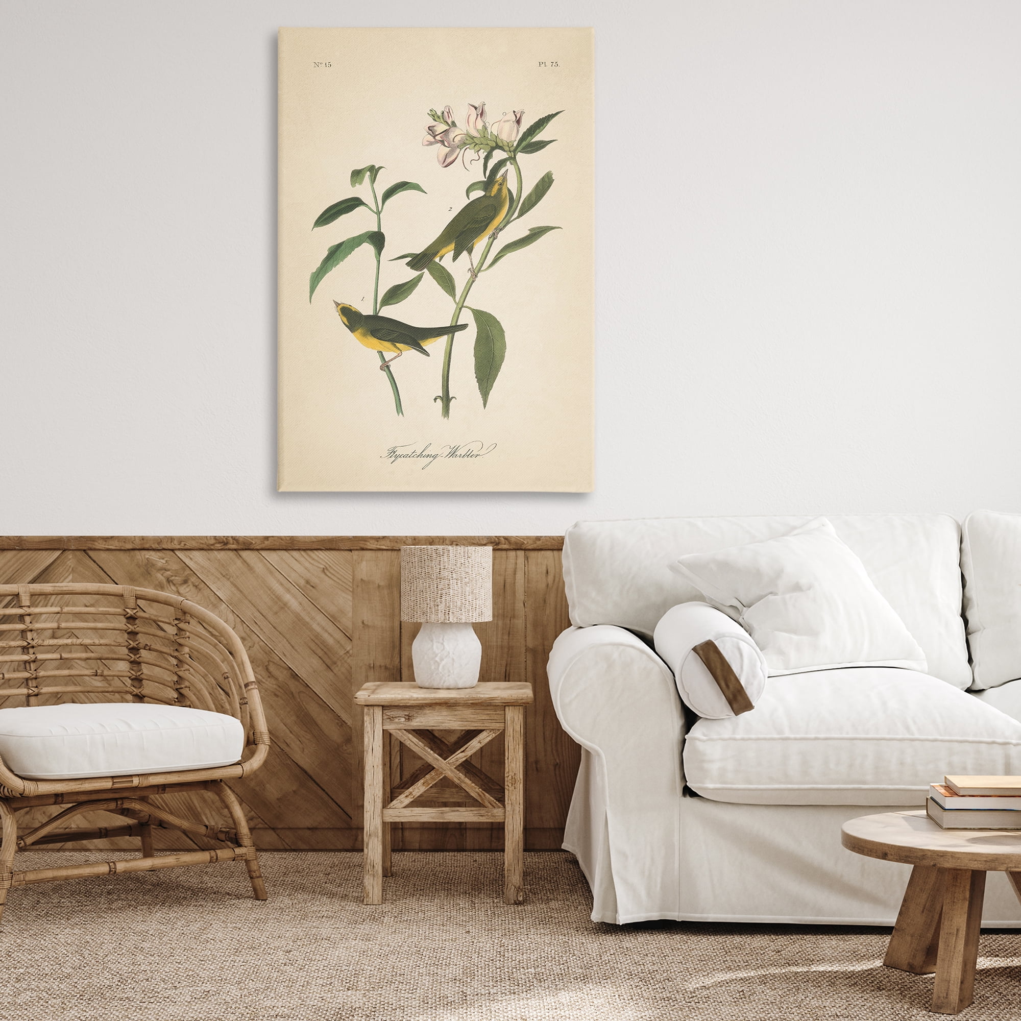 Stupell Industries Vintage Warbler Diagram Animals & Insects Painting Gallery Wrapped Canvas Art Print Wall Art, 30 x 45