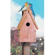 Pennington Cedar Bluebird Wild Bird House, 1 unit