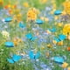 thumbnail image 1 of Xihbxyly Oferta Del Día Liquidación Estaca Decorativa Enchufable para Decoración de Jardín Al Aire Libre, 1 of 7