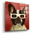 thumbnail image 2 of Epic Art '3D Dog' by Lucia Heffernan, Acrylic Glass Wall Art, 36"x36", 2 of 8