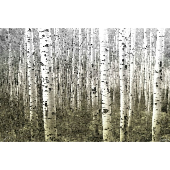 Parvez Taj 'Aspen Highlands' Canvas Print 60 x 40