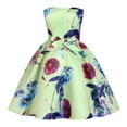 thumbnail image 4 of gdxvjhbj Robe Bébé Robes Demoiselles d'Honneur Asymétrique avec Volants Sans Manches Évasée Robes de Fête Robe Trapèze 2T 3T (Vert Clair,2-3 Ans), 4 of 9