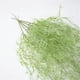 thumbnail image 3 of Decoración de Pared de Vegetación de Plantas de Ratán Artificial de 43 Pulgadas para Decoración de, 3 of 9