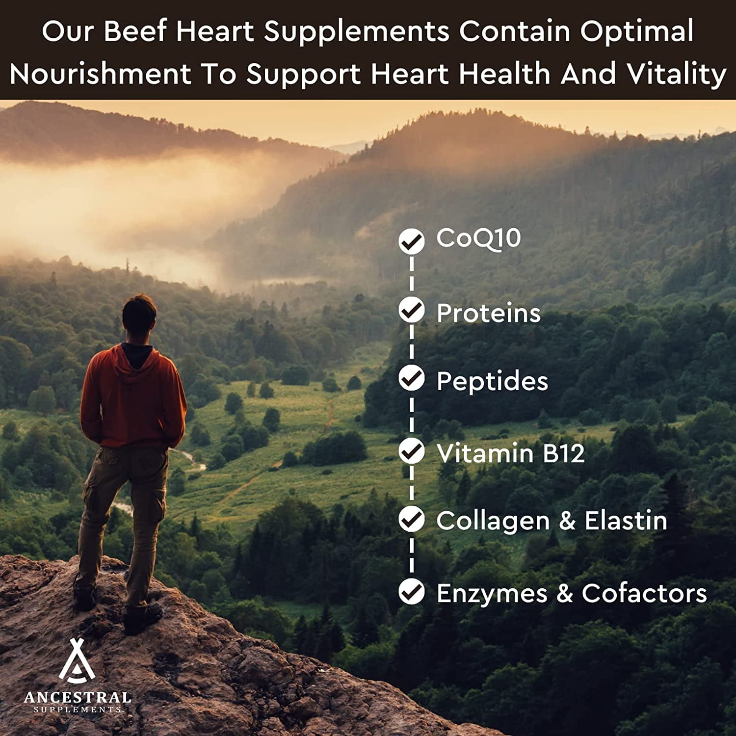 Ancestral Supplements Grass Fed Beef Heart Supplement, 3300mg, CoQ10 Supplement with Grass Fed Beef Liver, Supports Energy, Immune, Heart and Mitochondrial Health, Non GMO, 180 Capsules