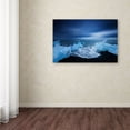 thumbnail image 3 of Trademark Fine Art 'Blue Day' Canvas Art by Philippe Sainte-Laudy, 3 of 3