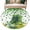 Green Gold, variant on Area Rugs 2.7'x5', St. Patrick's Day Carpet for Living Room Bedroom Dining Room, Farmhouse Green Boots Daisy Clovers Throw Kitchen Rugs Non Slip Washable Rectangle Indoor Outdoor Rugs