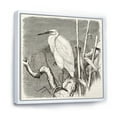thumbnail image 3 of Little Egret Bird in Monochrome 16 in x 16 in Framed Painting Canvas Art Print, by Designart, 3 of 5