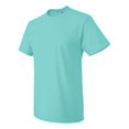 thumbnail image 3 of Fruit of the Loom HD Cotton T-Shirt for Men and for Women Short Sleeve Classic, 3 of 4
