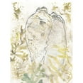 thumbnail image 3 of Vess, June Erica 19x24 Black Modern Framed Museum Art Print Titled - Verdant Shell Fresco IV, 3 of 5