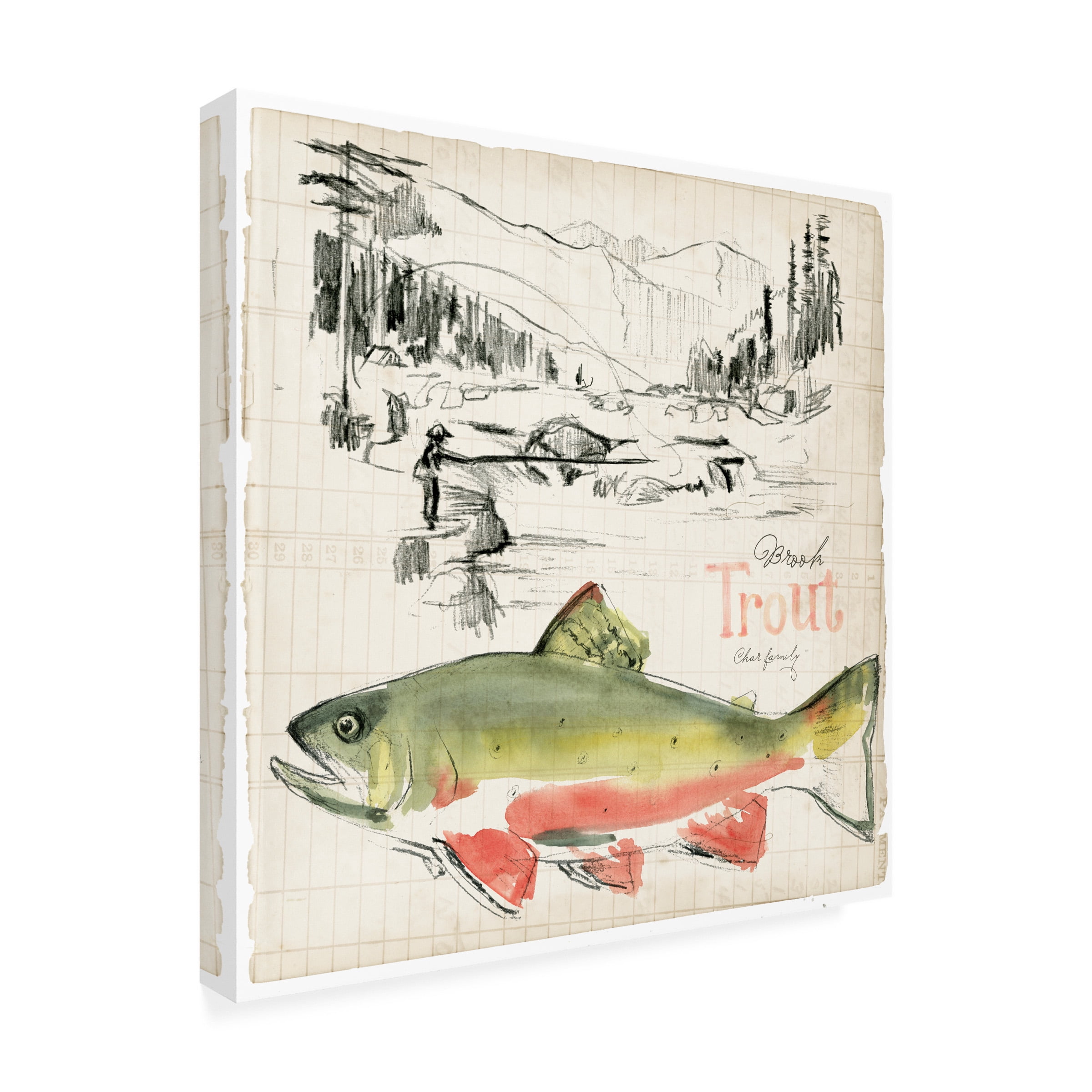 Jennifer Paxton Parker 'Trout Journal II' Canvas Art
