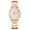 Rose Gold, variant on VerPetridure Jadi Watch High-quality Pointer Dress Decoration Ladies Quartz Watch