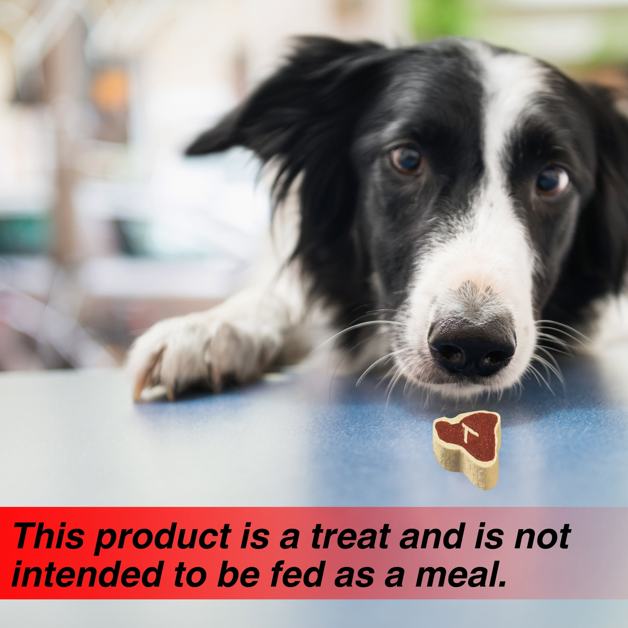 Porterhouse Flavor Dog Treats, 4.5oz (Pack of 4) Made with Real Meat Delicious Nutritious Snacks for Dogs Training Reward and Everyday Treat Food