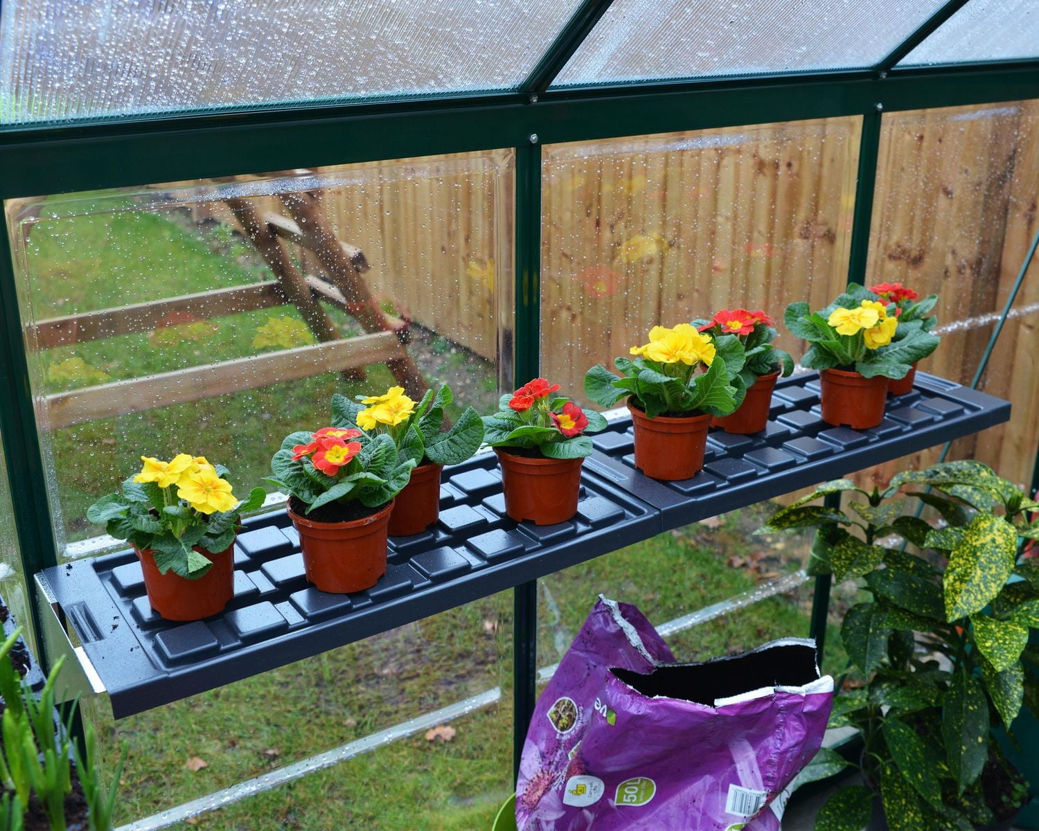 Canopia by Palram Greenhouse Twin Shelf Kit
