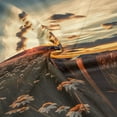 thumbnail image 3 of Fields at Sunset Men’s Hoodies Sweatshirt Fleece Jackets Long Sleeve Sweatshirts, 3 of 5