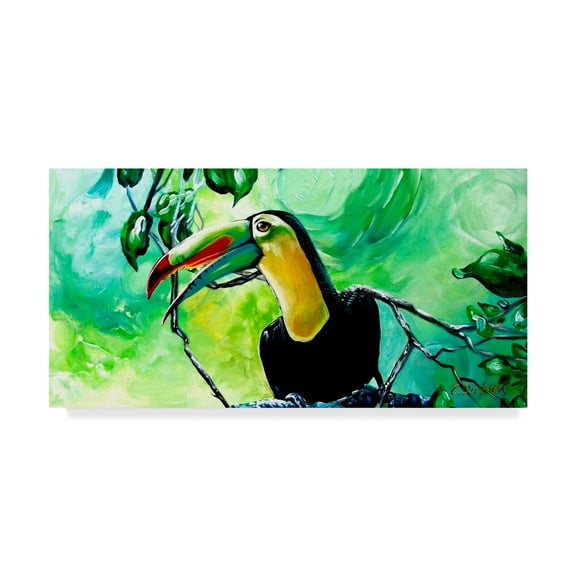 Trademark Fine Art 'Toucan Portrait' Canvas Art by Cherie Roe Dirksen