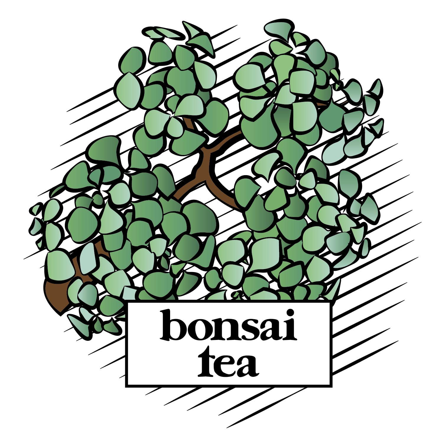 Bonsai Tea Co. Assorted Tea Variety Pack Earl Grey, English Breakfast, Green, & Chai Tea Pods, 40 Ct