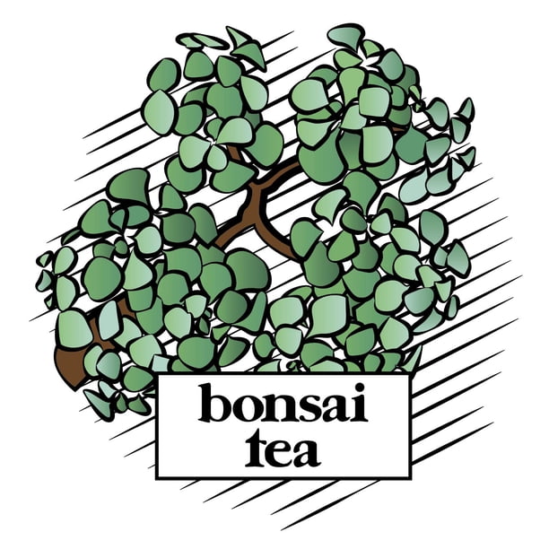 Bonsai Tea Co. Chai Spice Tea Pod, Compatible with 2.0 Keurig Brewers, 40 Count