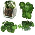 thumbnail image 4 of MyGift Set of 3 Artificial Plants, Faux Tabletop Greenery w/ Clear Glass Pots, 4 of 5