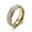 Gold, variant on 6MM Double Rowes White Cz Gold/Rainbow Band Titanium Steel Wedding Ring Size 5-9