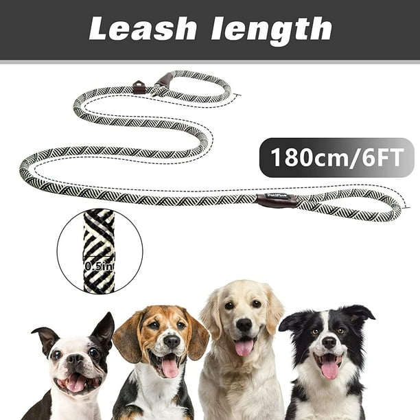 Dog leads at walmart sales