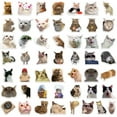 thumbnail image 2 of AmaMary 100 Pcs Cute Cat Stickers for Kids Water Bottle Stickers for Laptop Vinyl Classroom Prize, Cute Things Birthday Gifts Cute Stuff for Boys Girls Adults Teens, 2 of 6