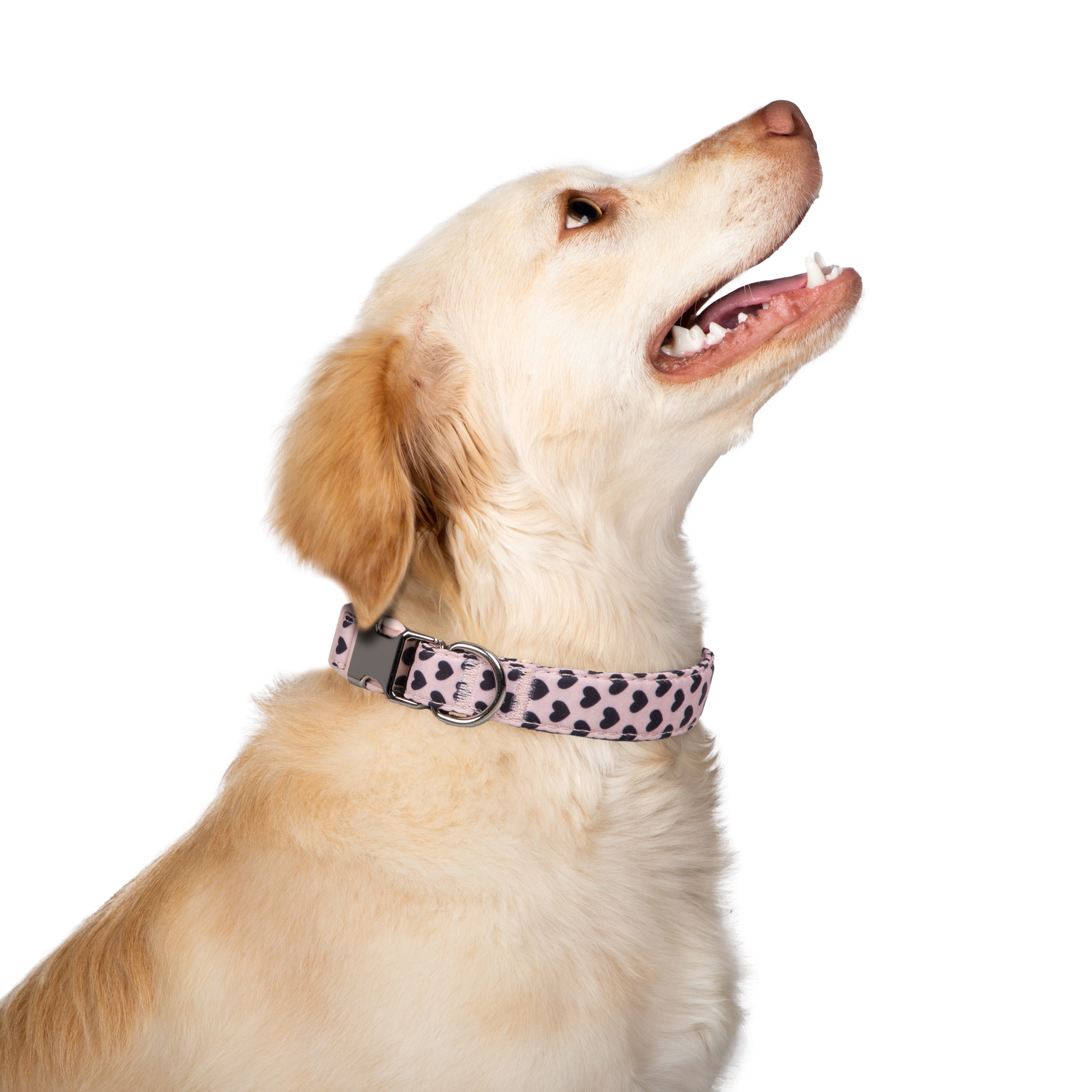 Christian Siriano Pet, Polka Dot Bow and Heart Print, Fashion Dog Collars, Pink, M, 2 Piece Set
