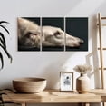 thumbnail image 3 of Elephant Stock Loyal Dog Wall Art - Horizontal Multi Panel Canvas - Living Room Wall Decor - Animal Multi Panel - Brown And White Decor - 26" x 12", 3 of 8
