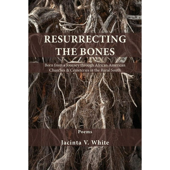 Resurrecting the Bones: Born from a Journey through African American Churches & Cemeteries in the Rural South (Paperback)