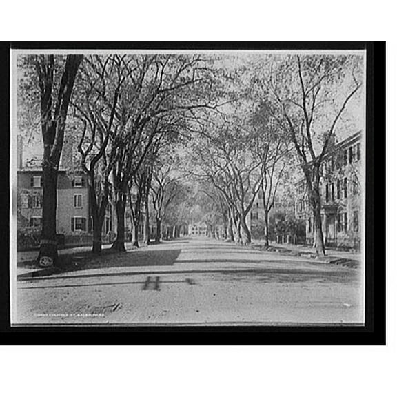 Historic Print, Chestnut St., Salem, Mass. - 2, 16" x 20"