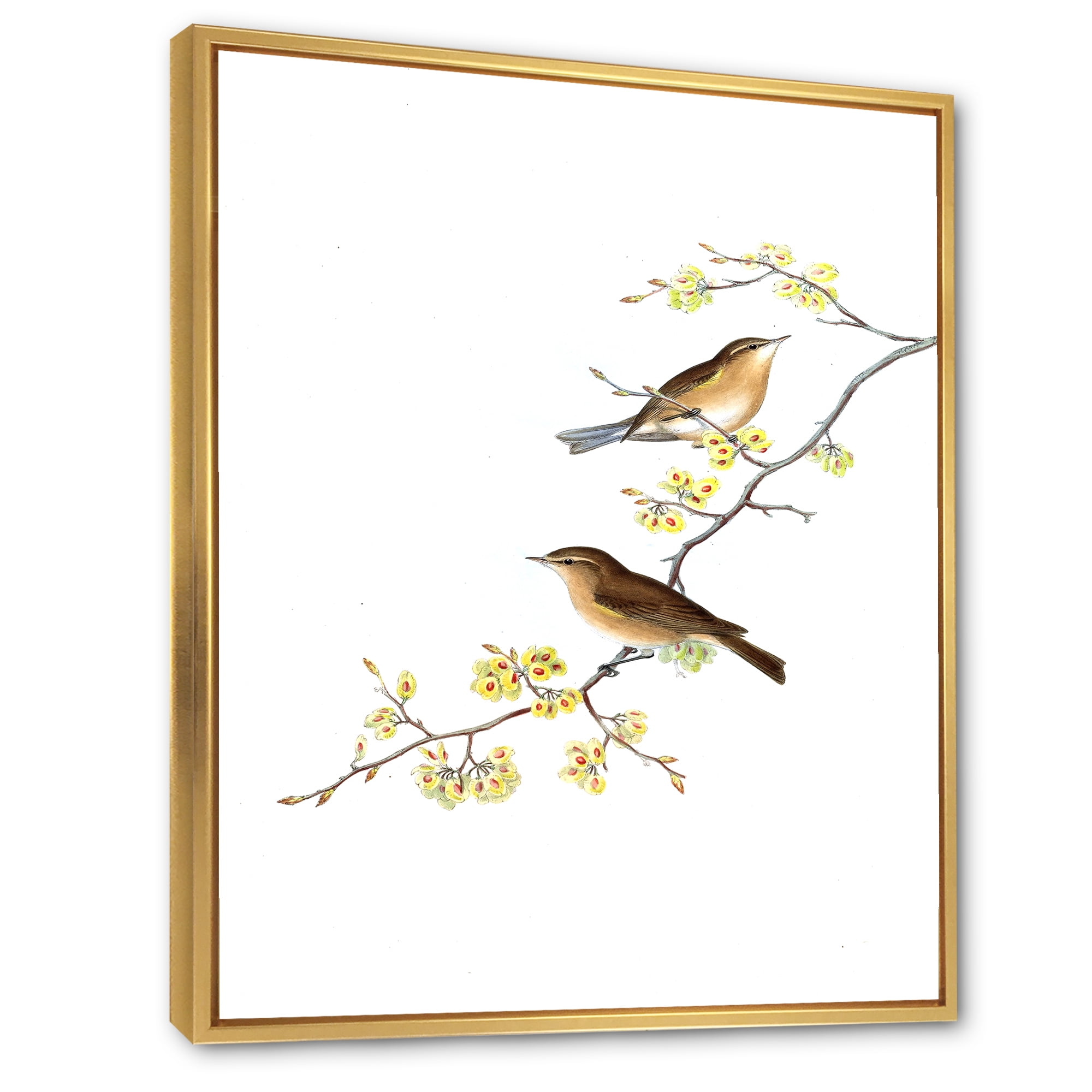 Designart 'Little Birds Sitting On The Tree Branches II' Traditional Framed Canvas Wall Art Print