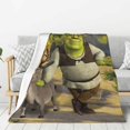 Shrek Get Out Of My Swamp Flannel Blanket Soft Lightweight Plush Fuzzy