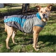 thumbnail image 6 of Dog Helios ® Lotus-Rusher 2-in-1 Dual-Removable Layered Performance Dog Jacket, 6 of 7