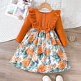 thumbnail image 2 of Staki Skater Girl Clothes Girls Long Sleeve Dress for Kids Girls Casual Dresses(Orange,18-24 Months), 2 of 9