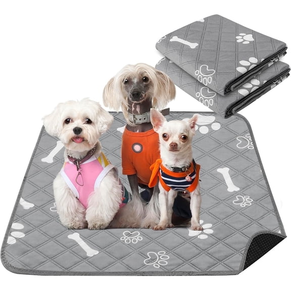 2 Pack Washable Pee Pads for Dogs, 24'' x 36" Reusable Pads with Super Absorbent Waterproof Bottom for Training, Housebreaking and Incontinence