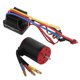 thumbnail image 2 of Motor sin escobillas impermeable 3650 3900KV 60A ESC regulador eléctrico de línea larga para coche RC 1/8 1/10, 2 of 10