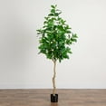 thumbnail image 3 of Nearly Natural Artificial Ficus Audrey Potted Tree - 7' - Unlit, 3 of 7