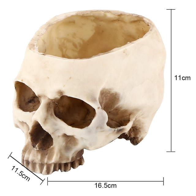 Skull Planter, Strong Stability Skull Pot With Resin Material For Grow Flowers Grass Or Many Other Plants For Family