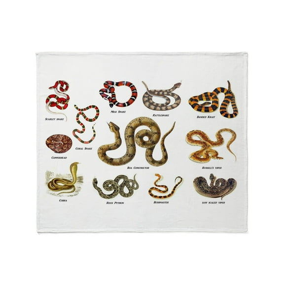 CafePress - Snakes Throw Blanket - Soft Fleece Throw Blanket, 50"x60" for All Ages