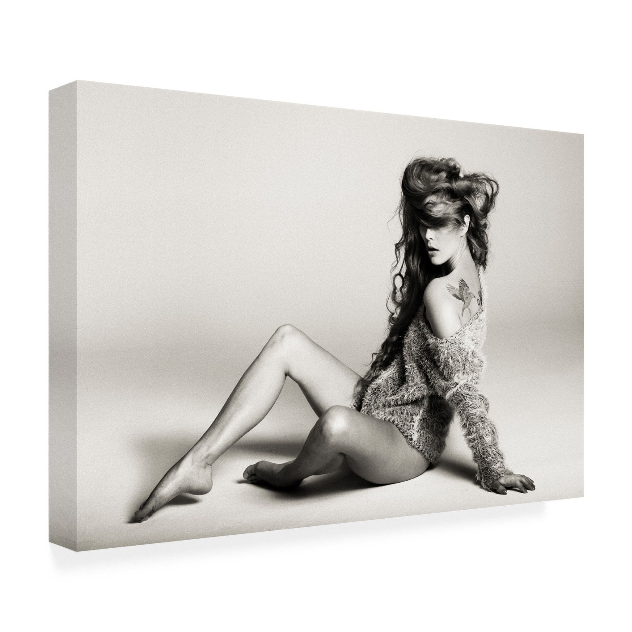 Trademark Fine Art Cesar Tejada Le intensitAc Canvas Wall Art