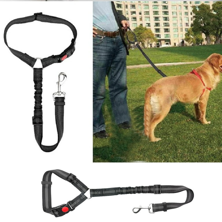 Dog seat top belt walmart