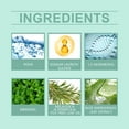 thumbnail image 4 of teapwant Fresh Breath Oral Care Spray For Instant Mouth Refreshment And Clean Teeth Hygiene Solution Portable 60ML Bottle, 4 of 8
