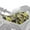 Camo Gray Yellow, variant on Uorisanigo Hawaiian Turtle ATV Seat Cover Waterproof Universal Four Wheeler Seat Cover Breathable Compatible with Polaris Sportsman Polaris Scrambler Honda Rancher(23×10 Inch)