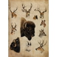 thumbnail image 2 of Butler, John 24x32 Gold Ornate Wood Framed with Double Matting Museum Art Print Titled - American Trophy III, 2 of 4